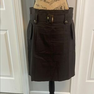 Ann Taylor Brown Knee-Length Pencil Skirt for Work